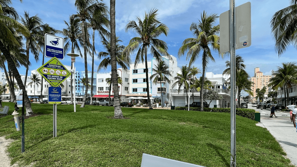 What Recreational Cannabis Legalization Could Mean for Florida’s Economy